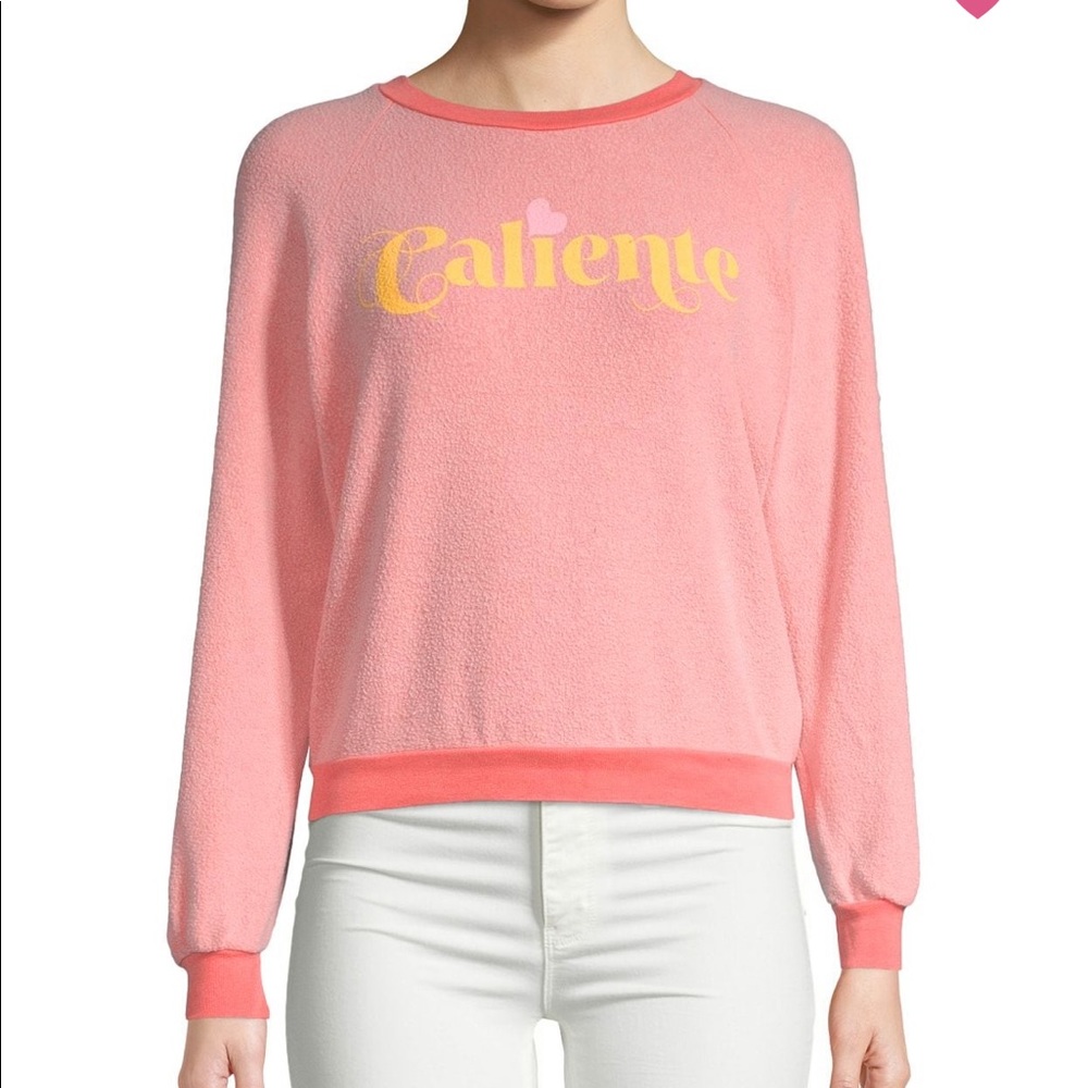 🦊 NWT WILDFOX Sweater (Sizes-Small and Medium 🦊